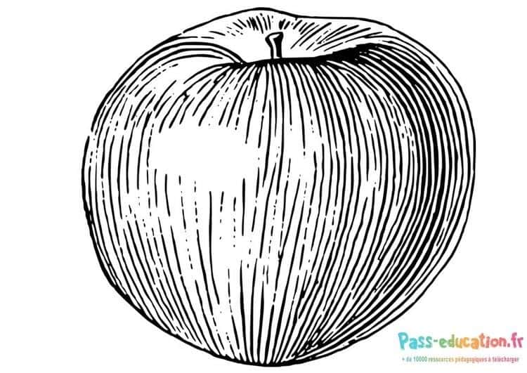 Pomme réaliste