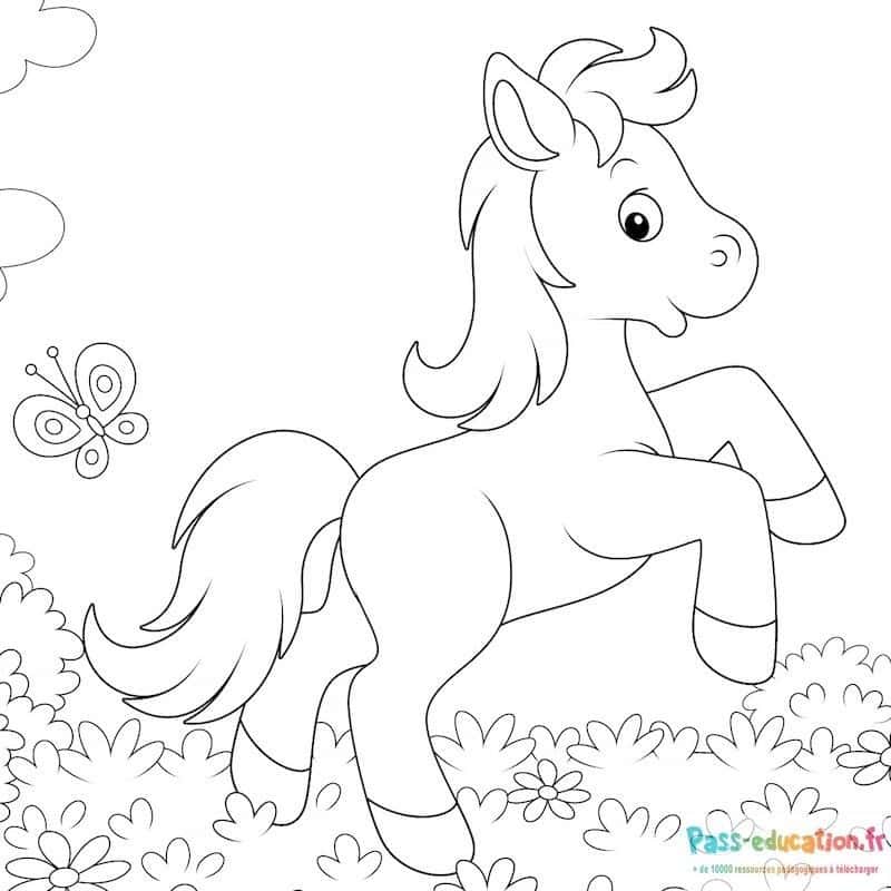 Poney dans les fleurs