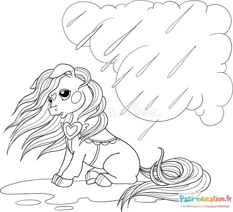 Poney sous la pluie