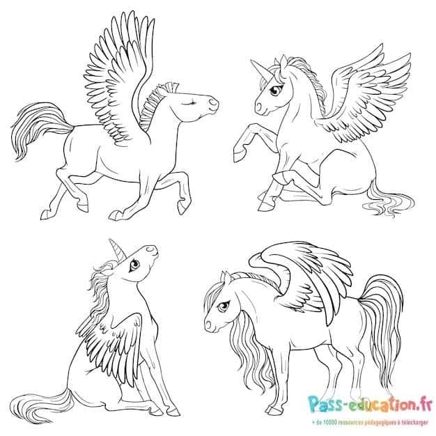 Poneys ailés