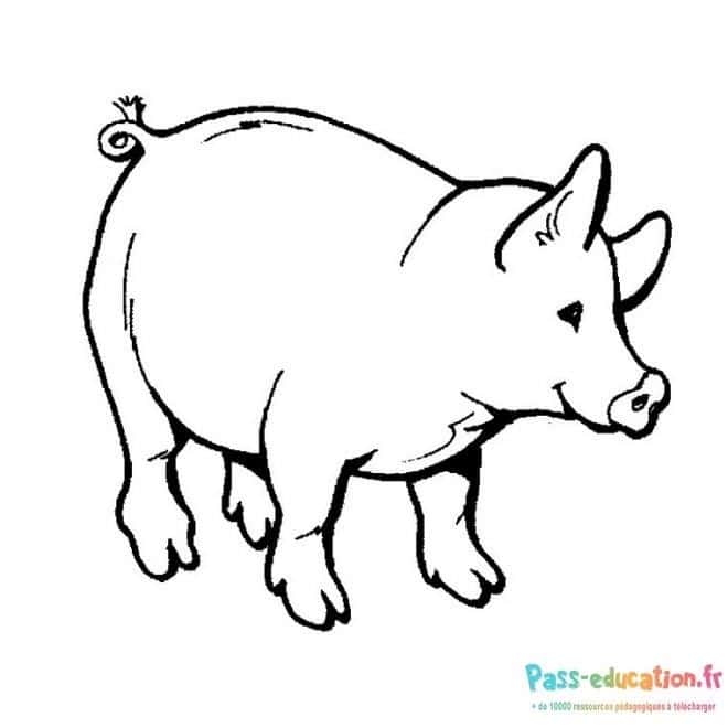 Porc à colorier gratuit à imprimer