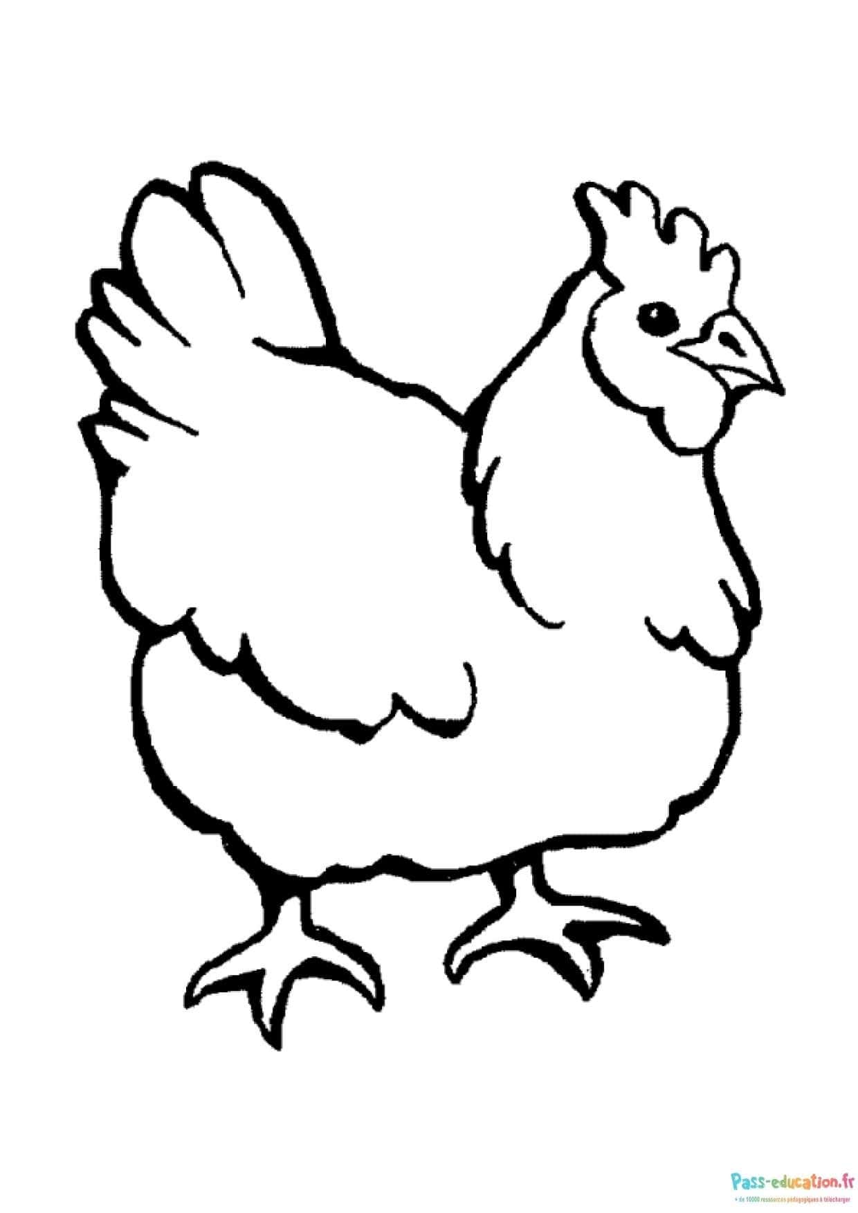 Poule dessinée