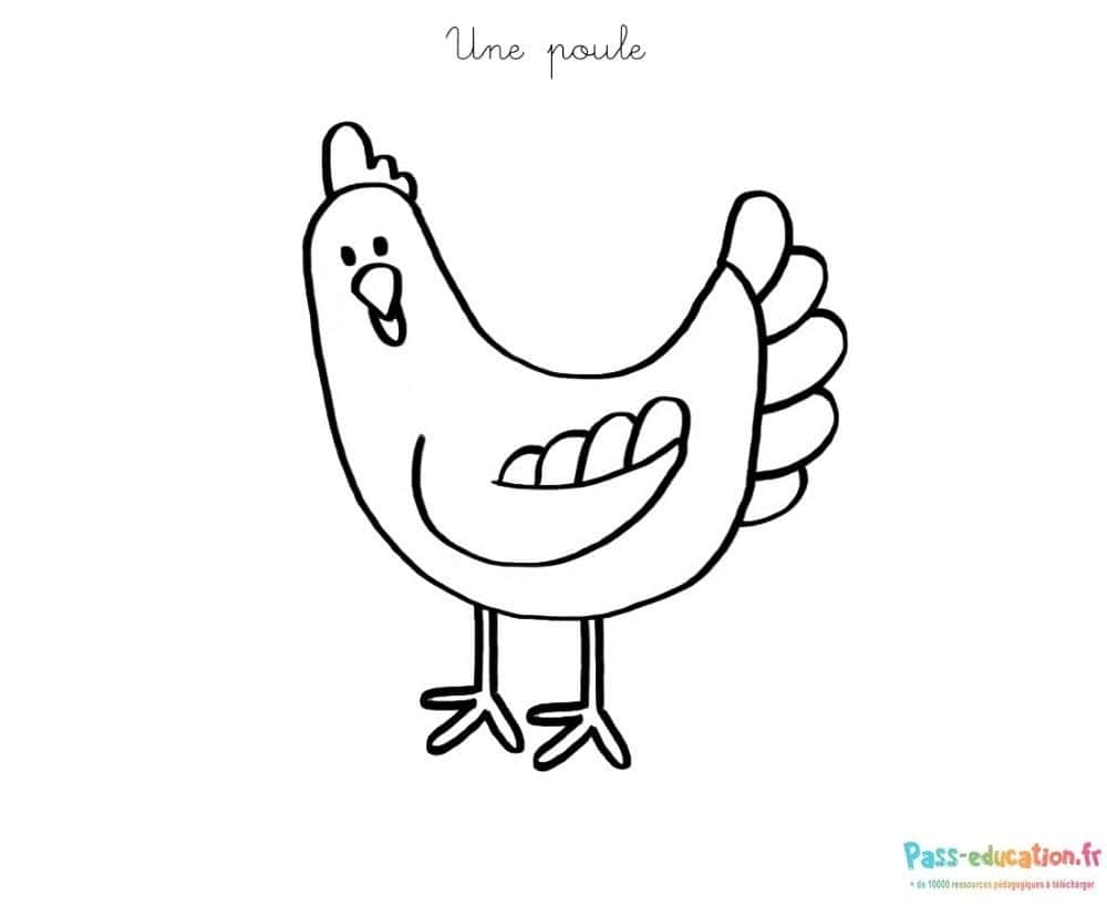 Une poule