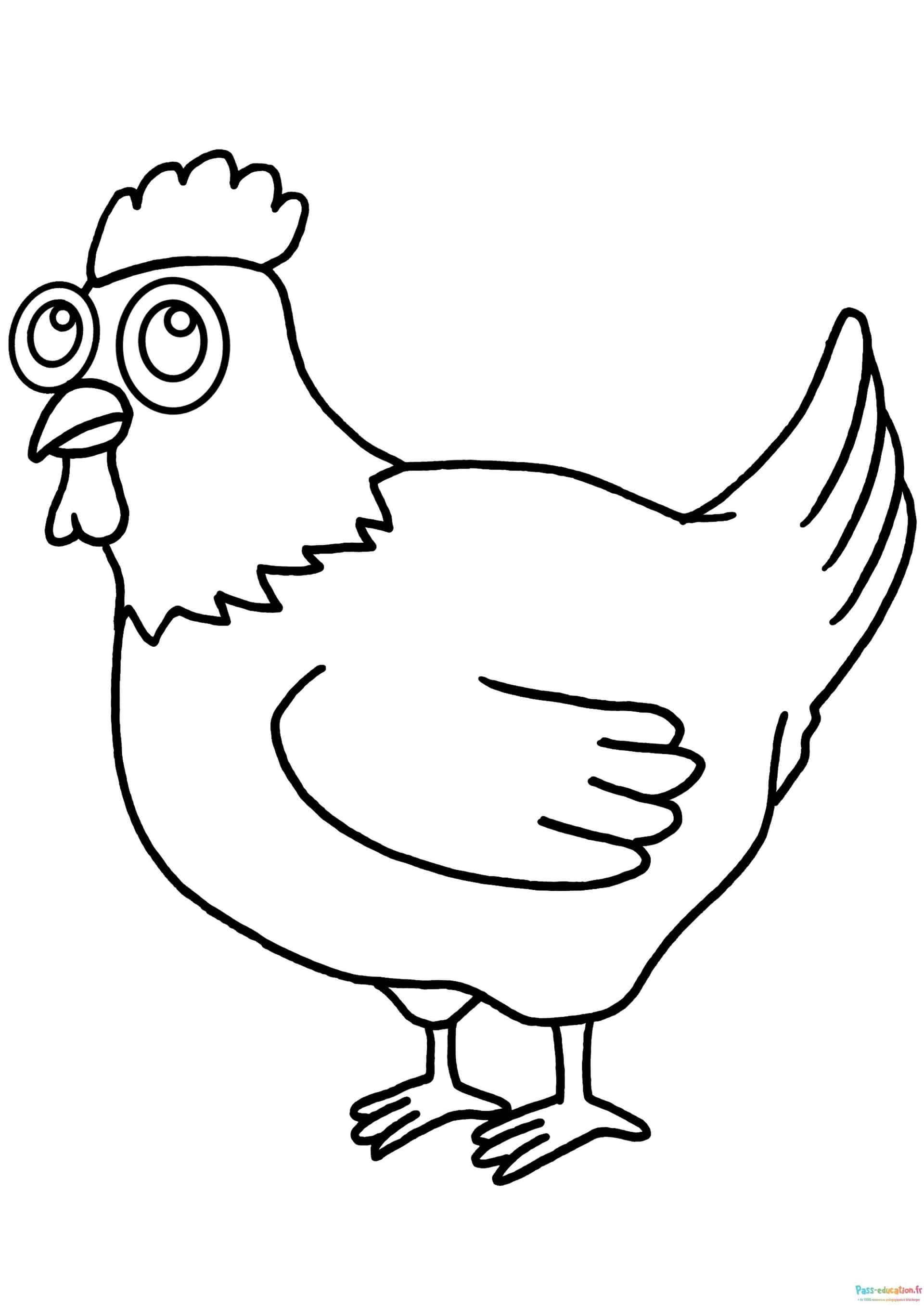 Poule à lunettes