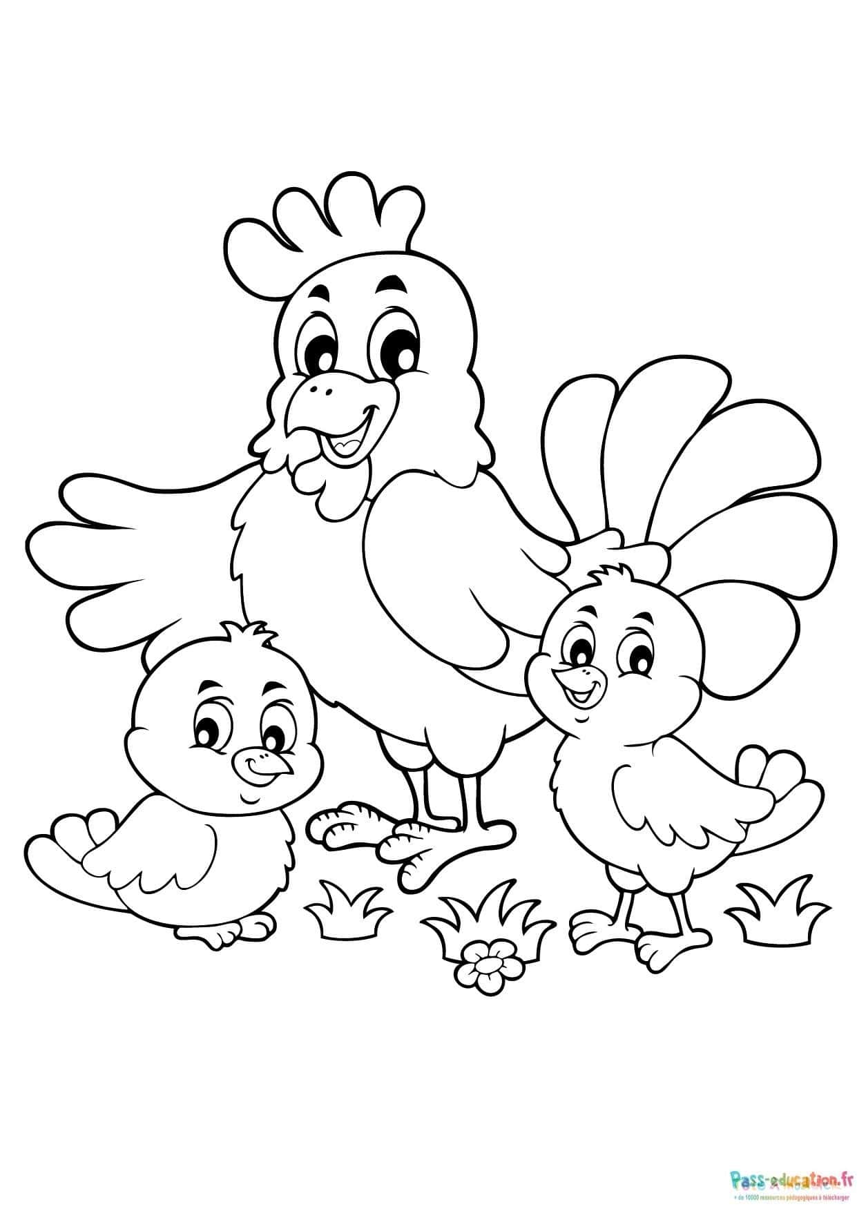 Famille de poulets