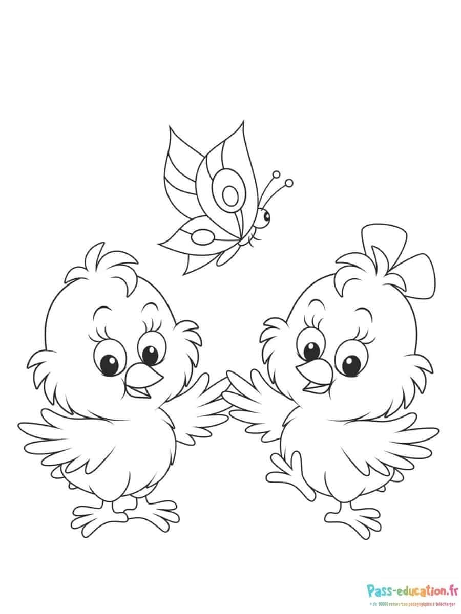 Poussins et papillon