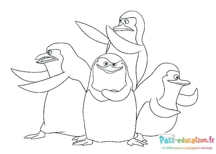 Quatuor de pingouins