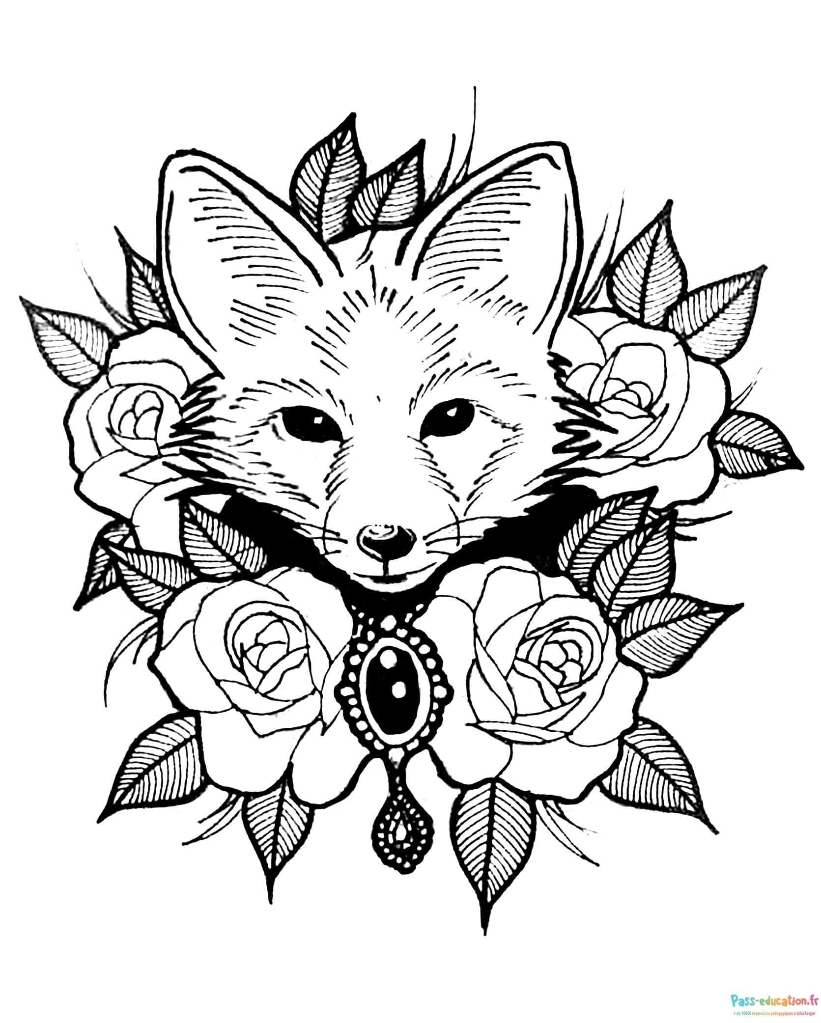 Renard floral