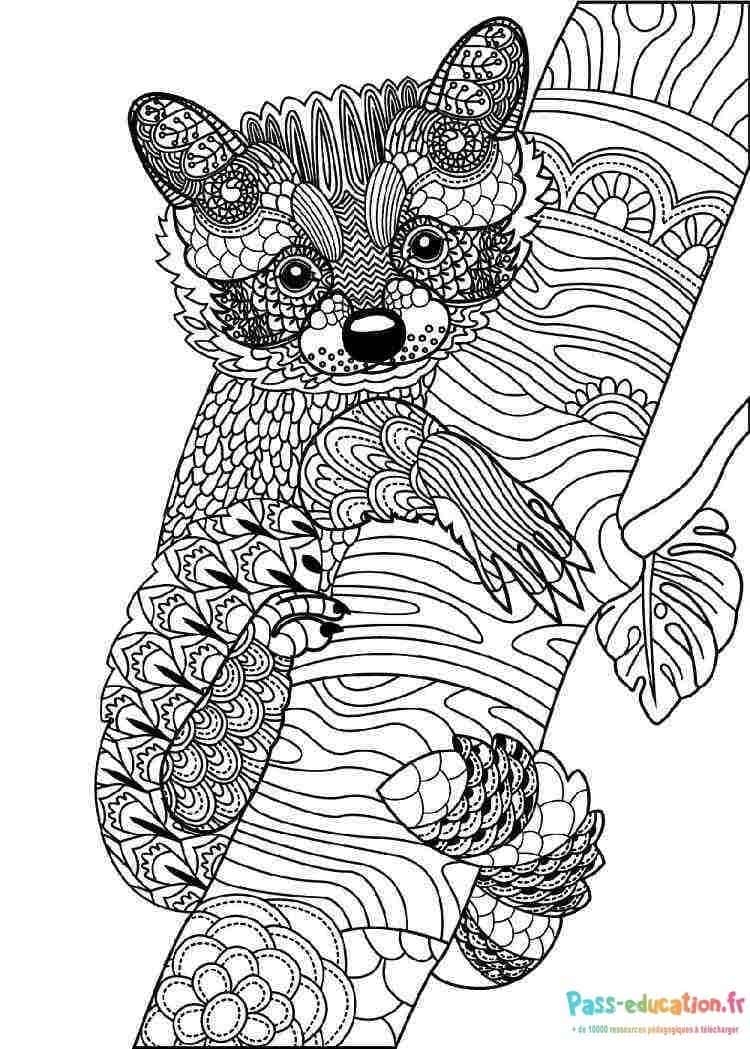 Renard Zentangle