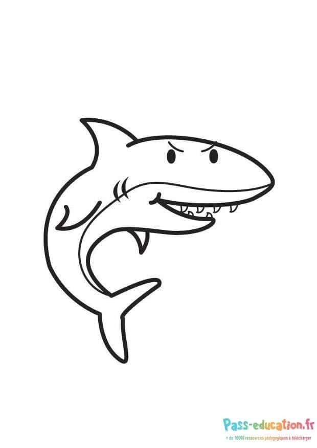 Requin dessin simple gratuit à imprimer