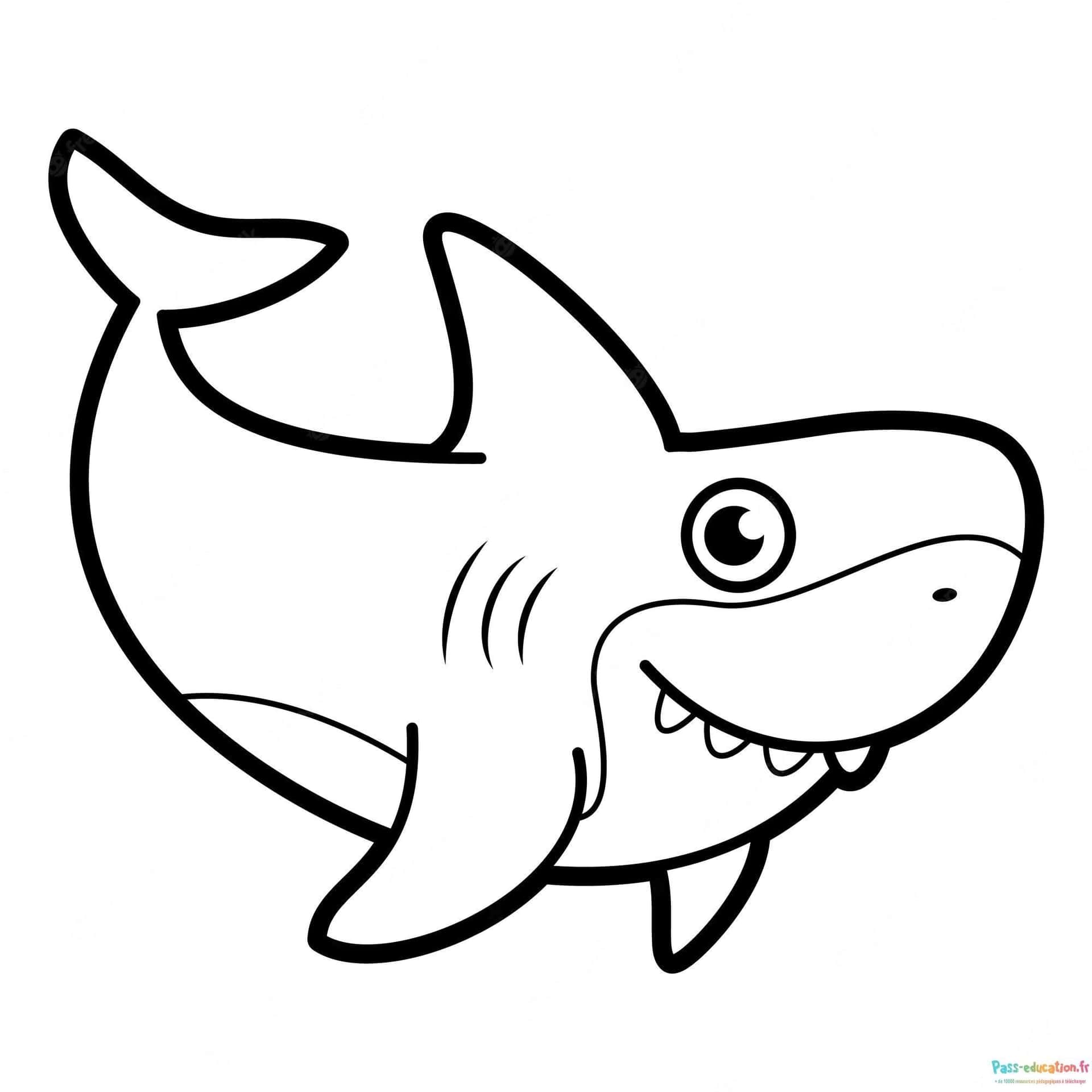 Requin souriant