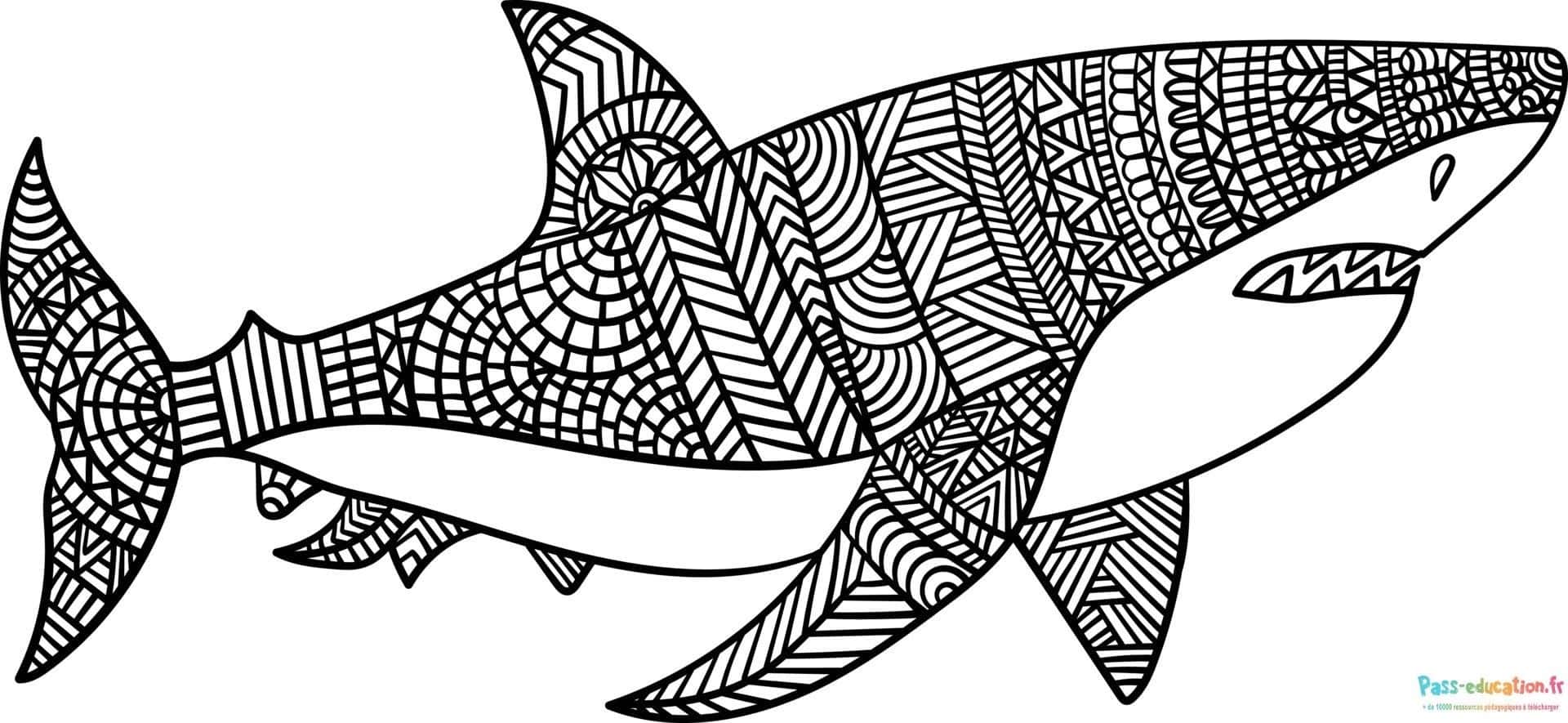 Requin zentangle gratuit à imprimer