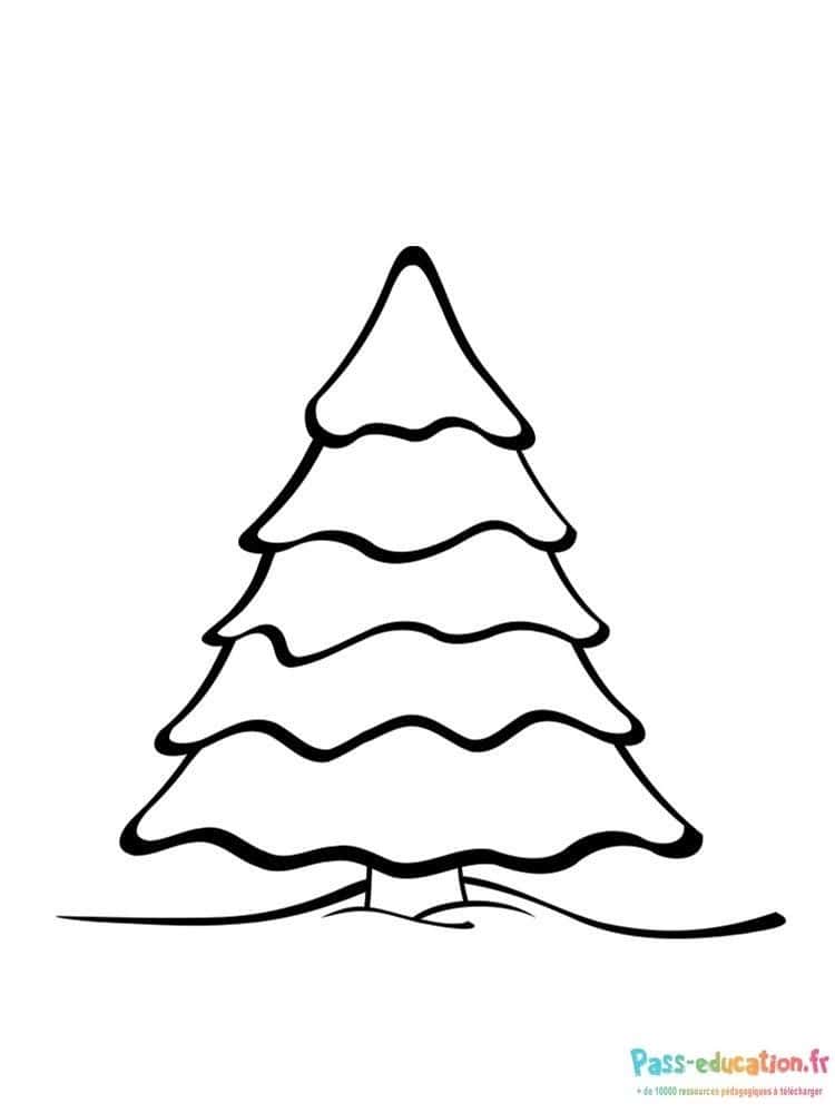 Sapin simple