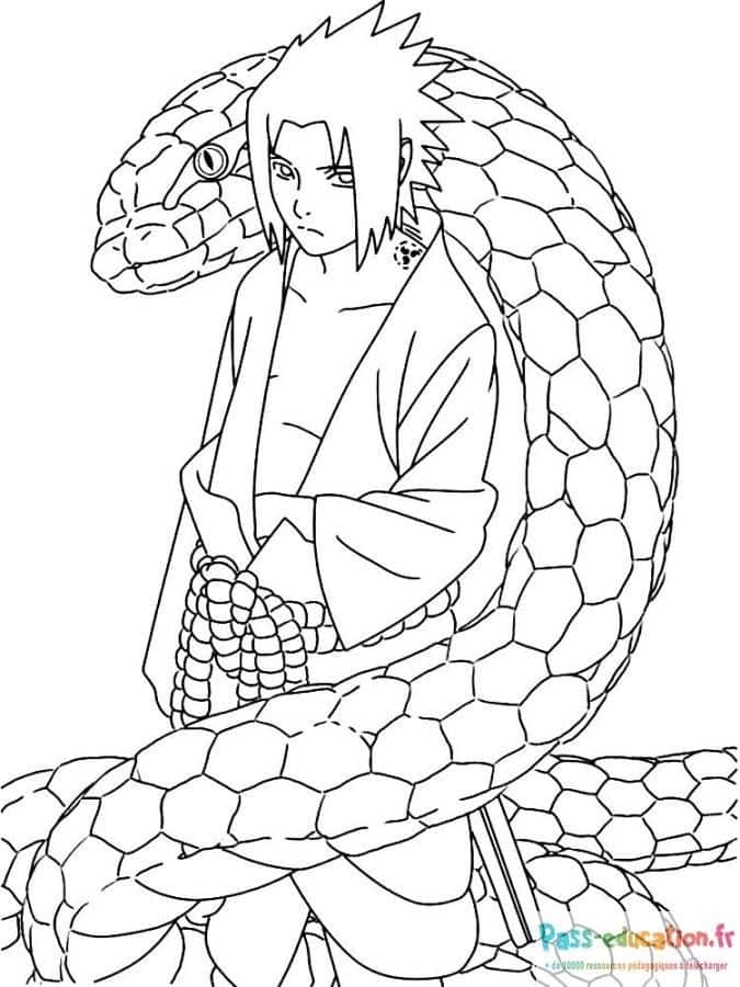 Sasuke et serpent