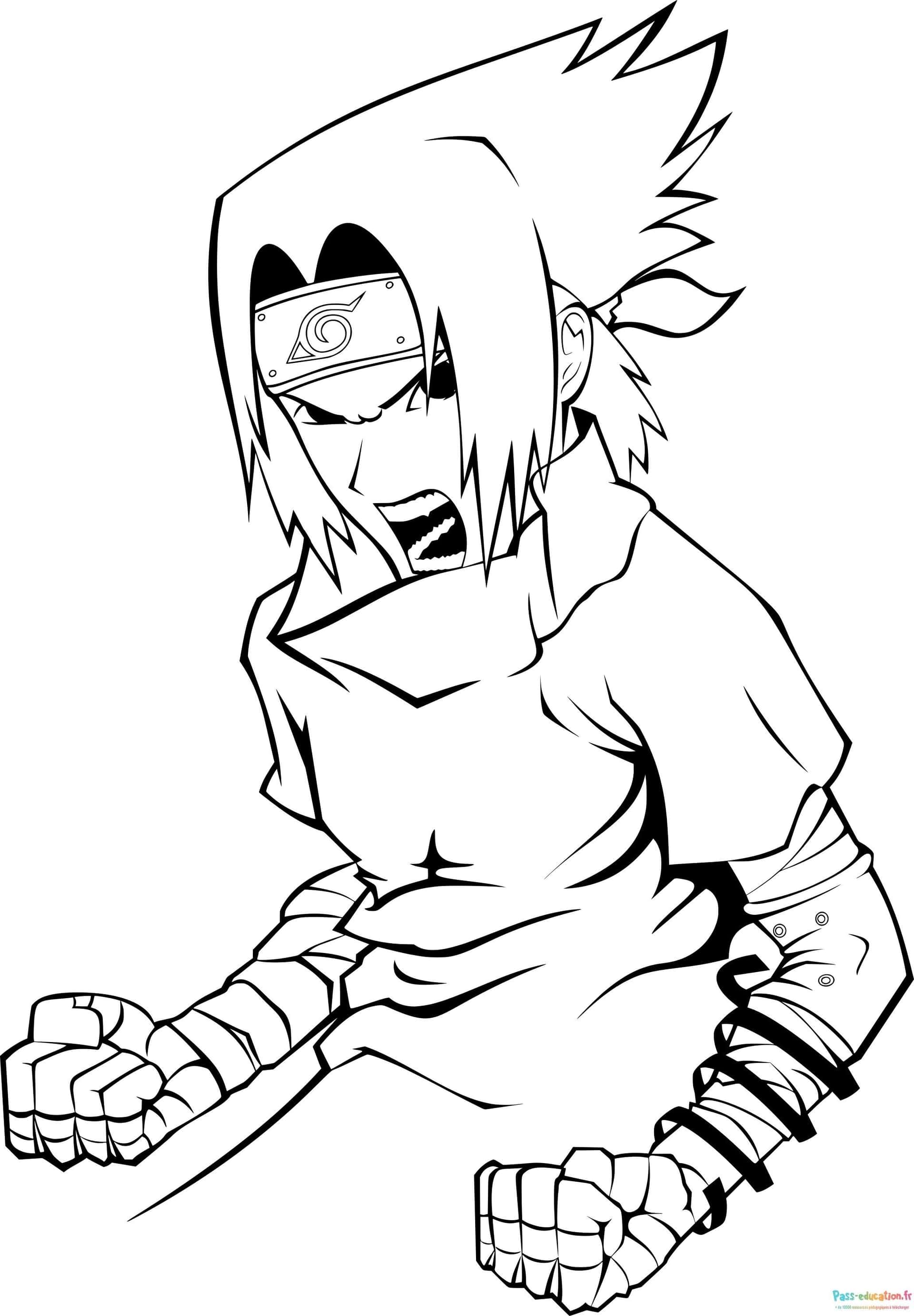 Sasuke en action