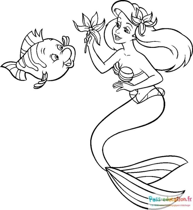 Sirène et Poisson