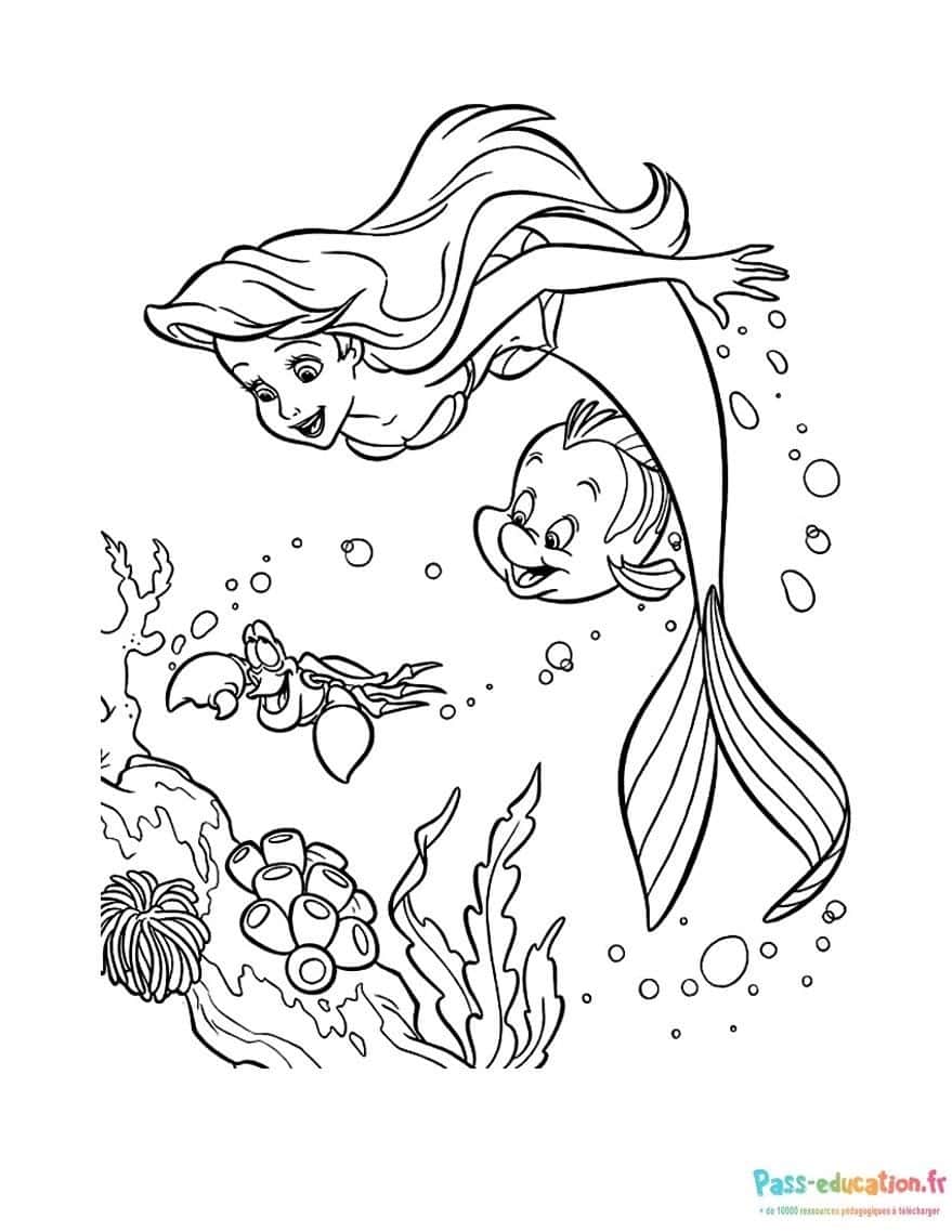 Sirène et poisson