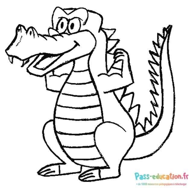 Crocodile souriant