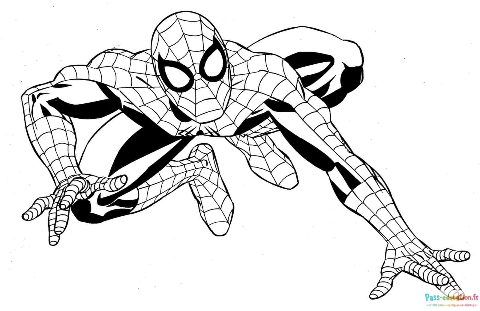 Spider-Man agile