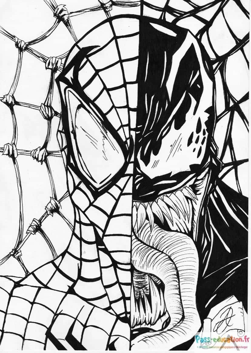 Spider-Man contre Venom