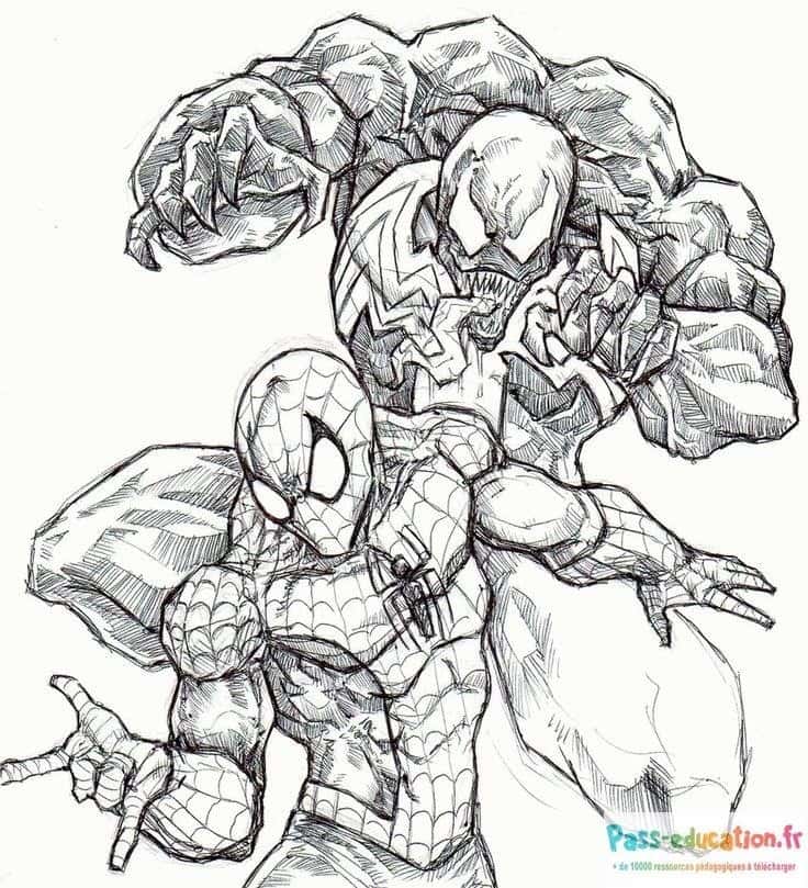 Spiderman contre Venom