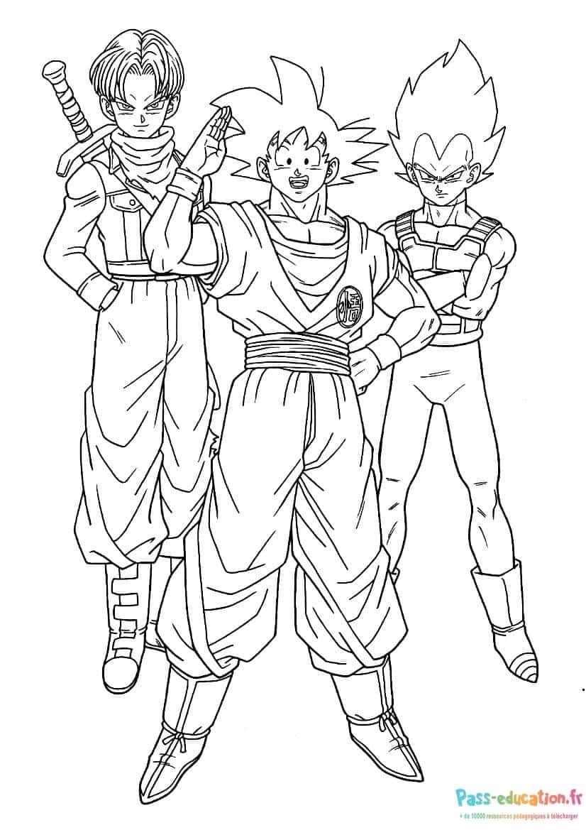 Guerriers Saiyan