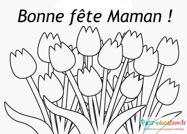 Fête des Mères Tulipes