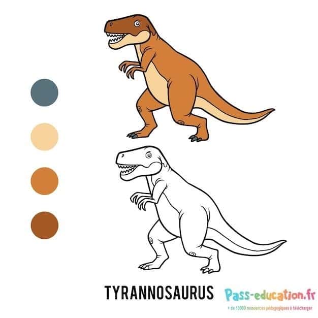 Tyrannosaure en couleur