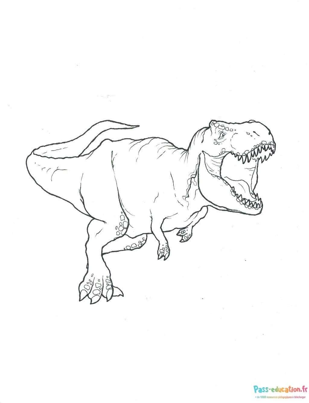 Tyrannosaure rugissant