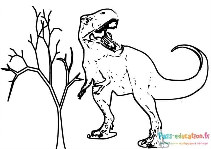 Tyrannosaure rugissant