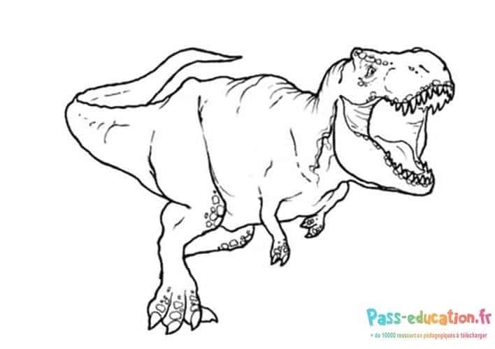 Tyrannosaure rugissant