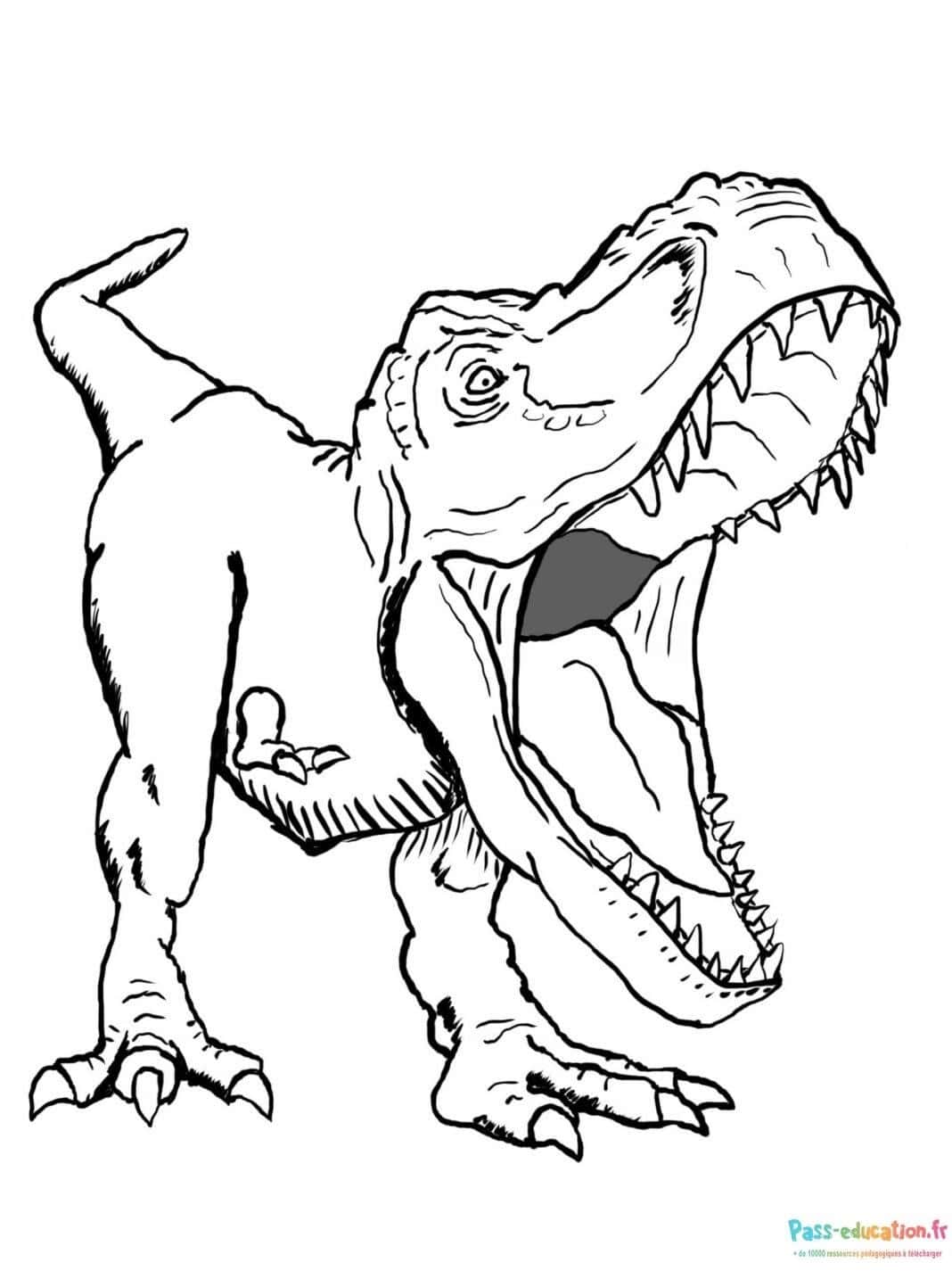 Tyrannosaure rex