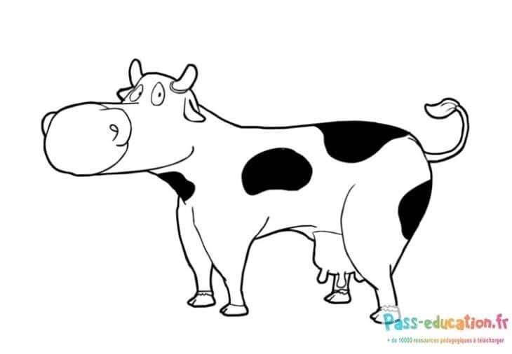 Vache rigolote