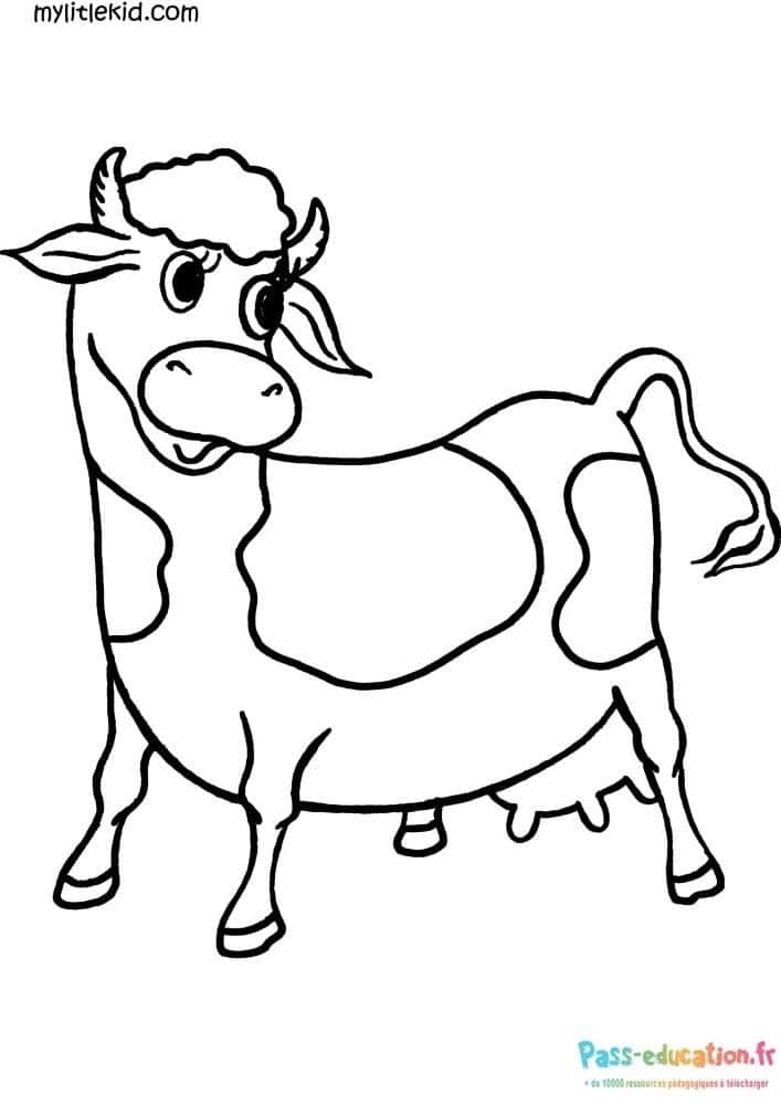 Vache souriante