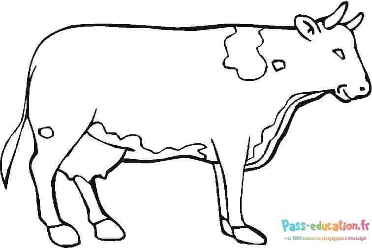 Dessin vache