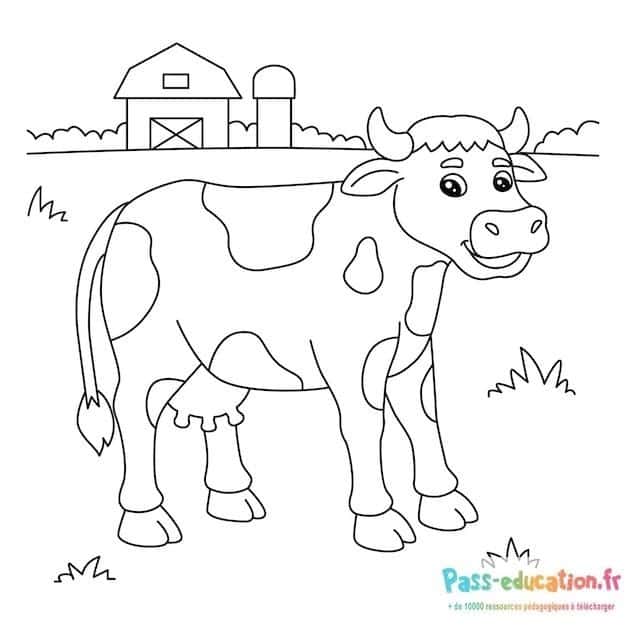 Vache à la ferme