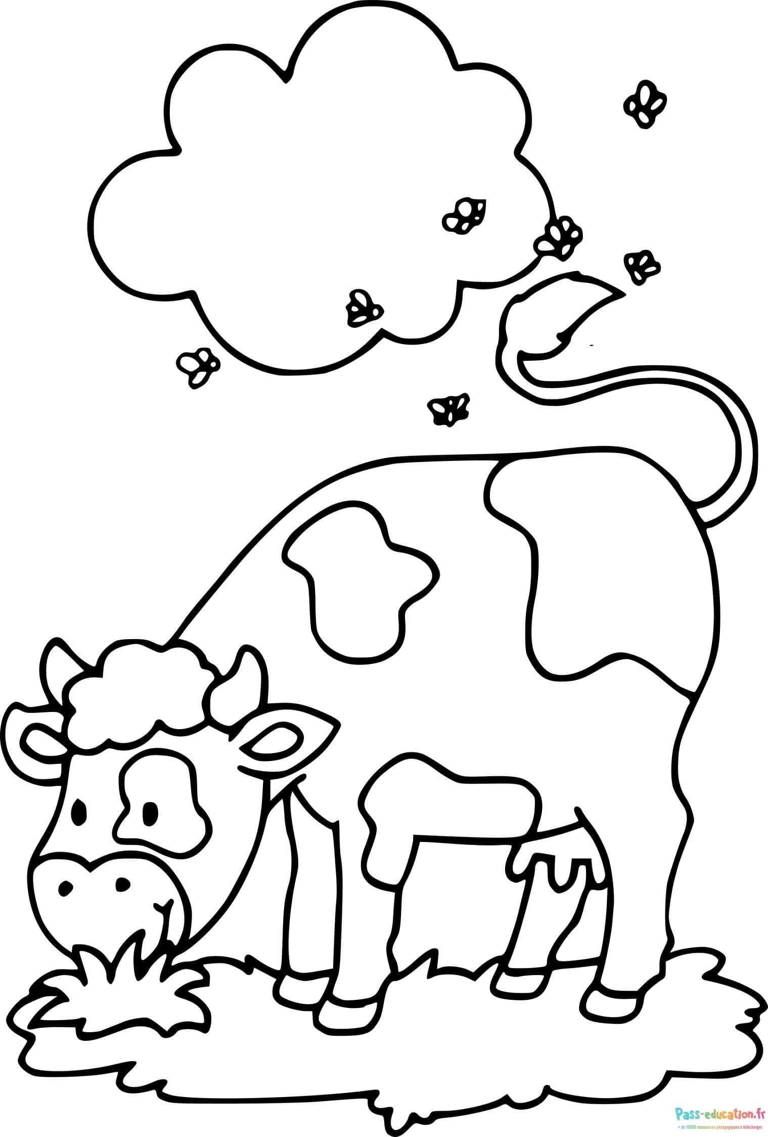 Vache à colorier