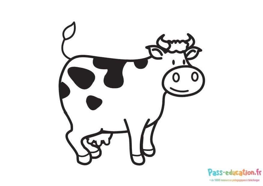 Vache souriante