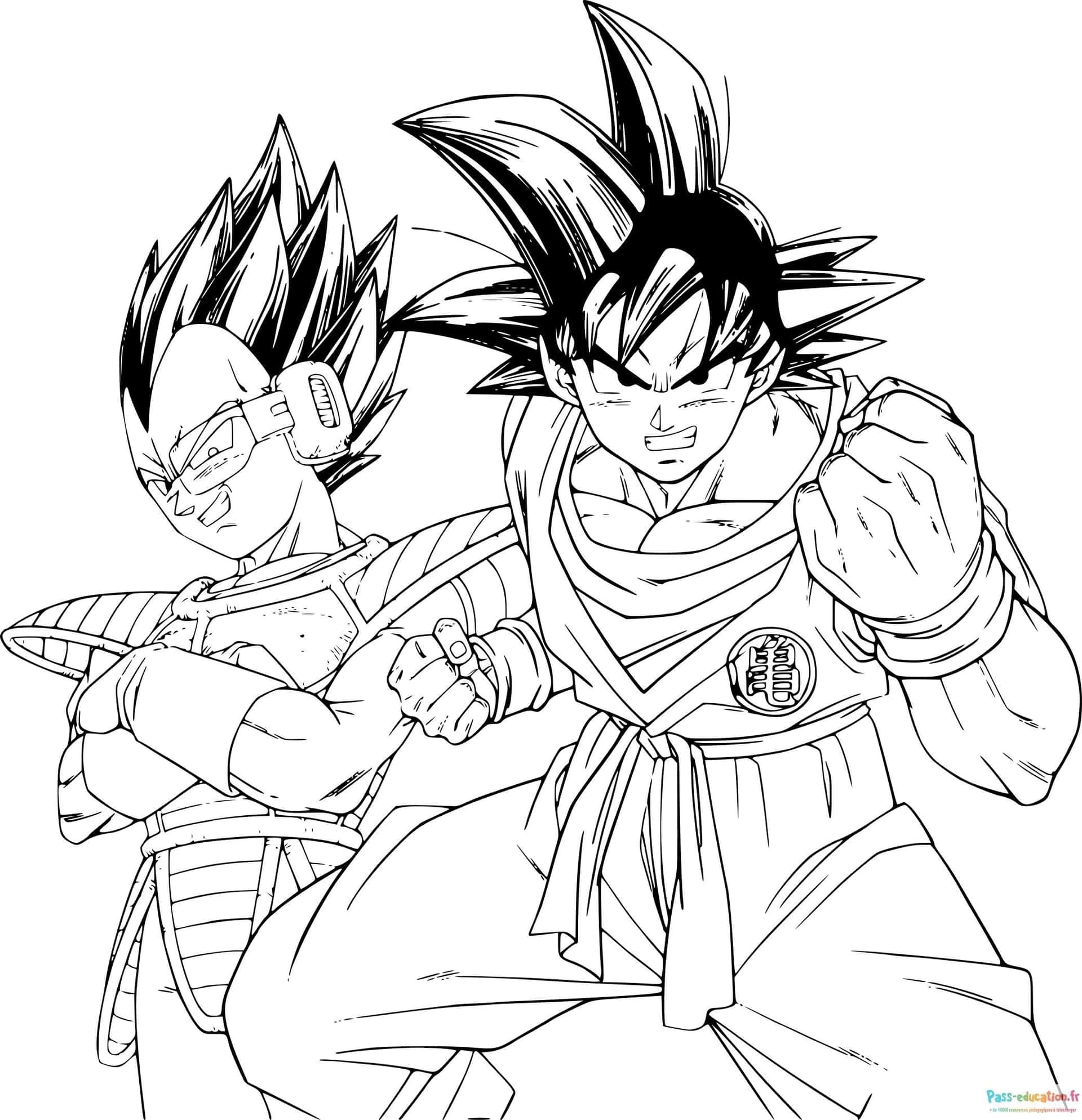 Vegeta et Goku