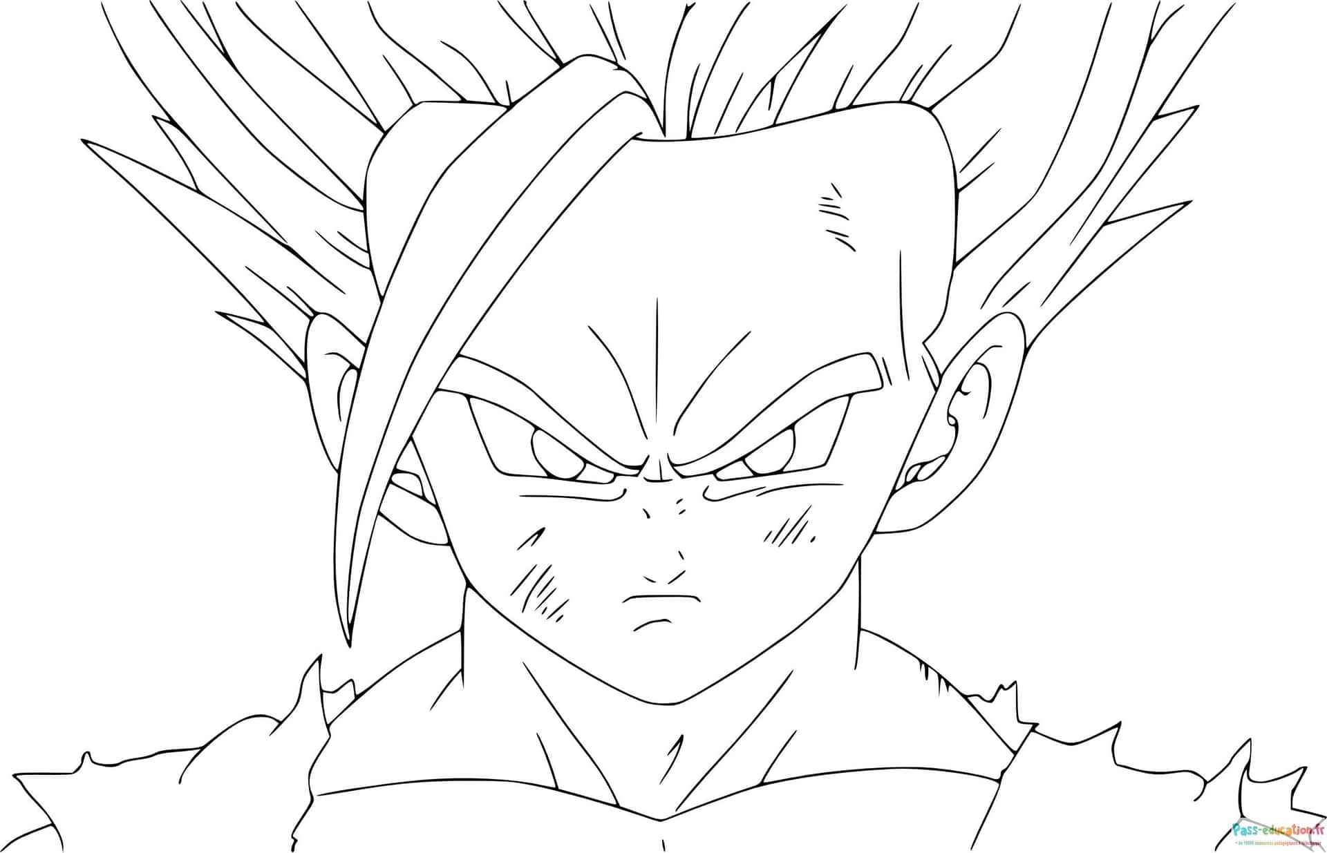 Vegeta combatif