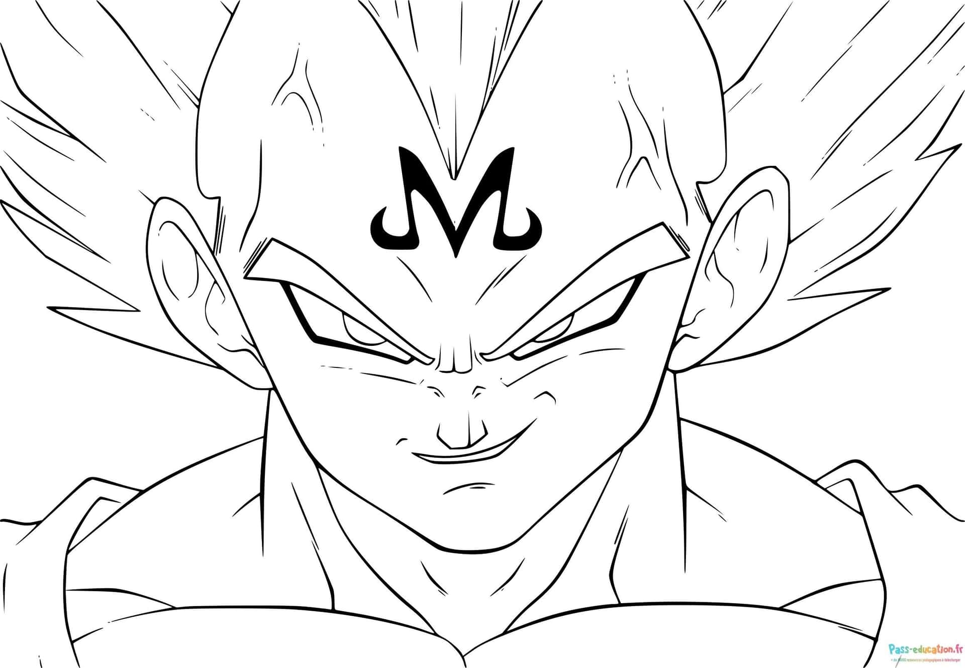 Vegeta Super Saiyan