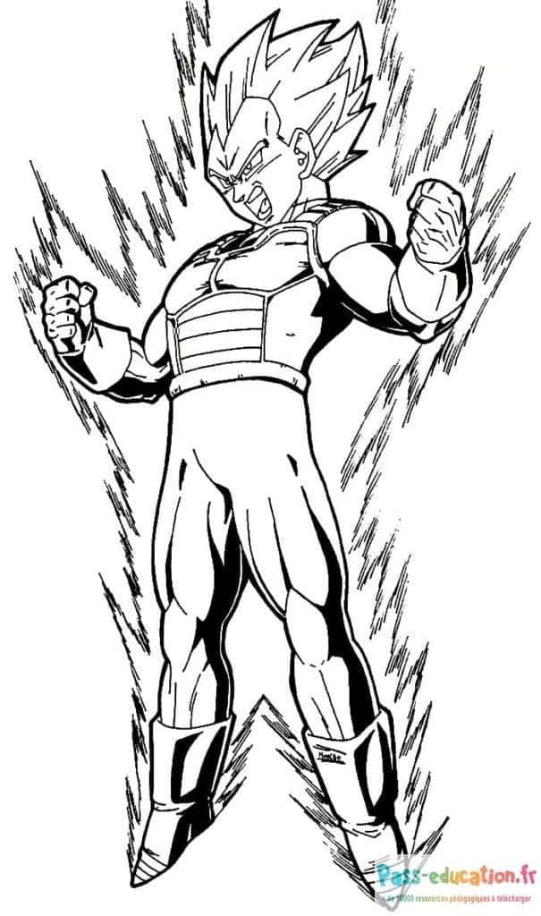 Vegeta Super Saiyan