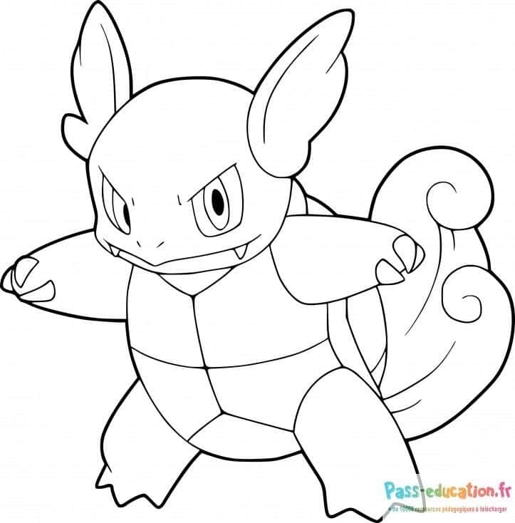 Wartortle prêt au combat