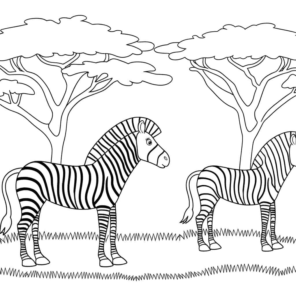 Zèbres dans la savane