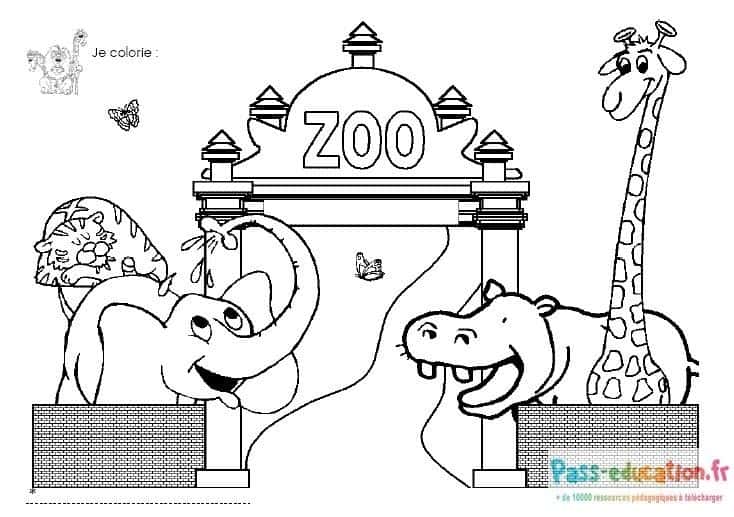 Animaux du zoo